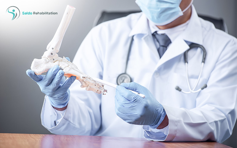 Doctor checking a knee and ligament skeleton
